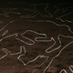 Illustration for article titled The World Cup Is Coming To Russia, Which Means Stray Dogs Are Being Slaughtered